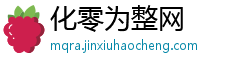 化零为整网